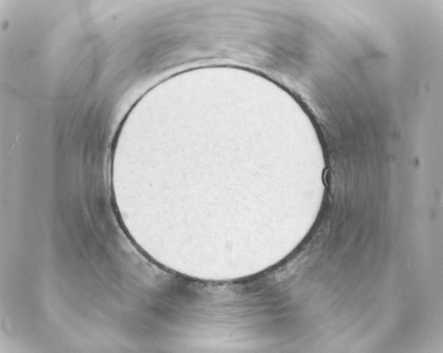 X0000088581516200706221303