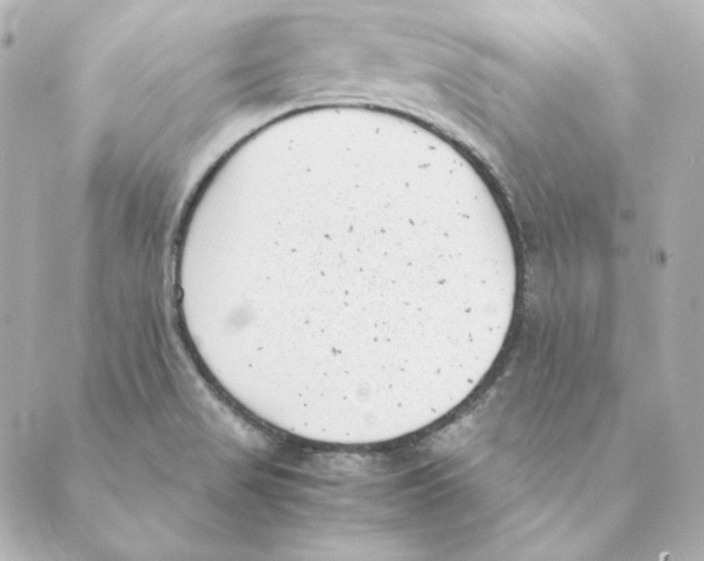 X0000088581517200706221303