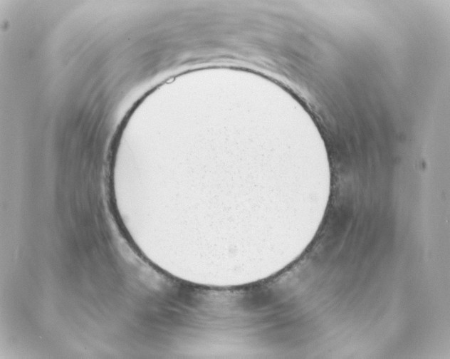 X0000088581518200706221303