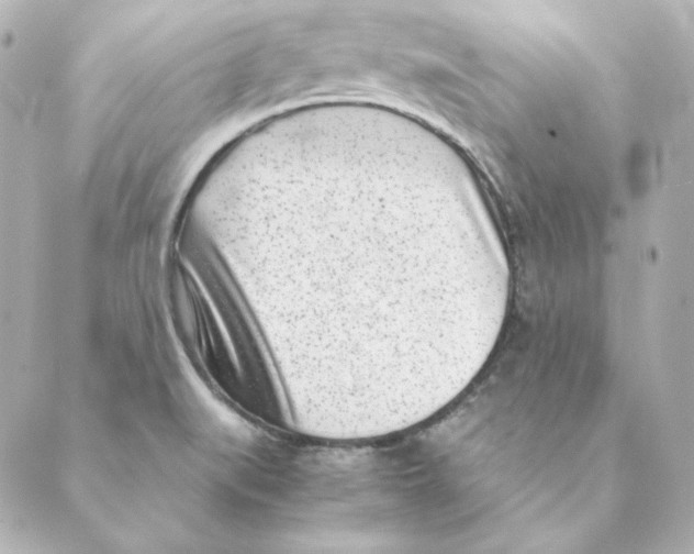 X0000088581519200706221303