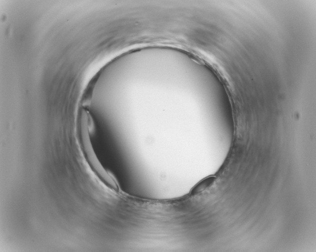 X0000088581520200706221303