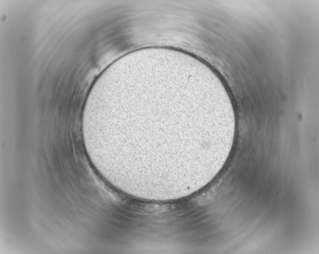 X0000088581521200706221303