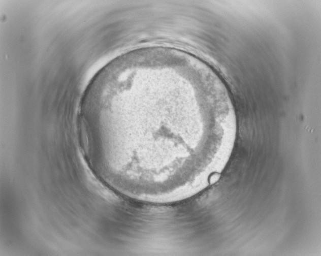 X0000088581522200706221303