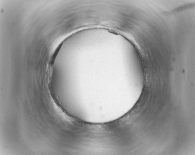 X0000088581524200706221303