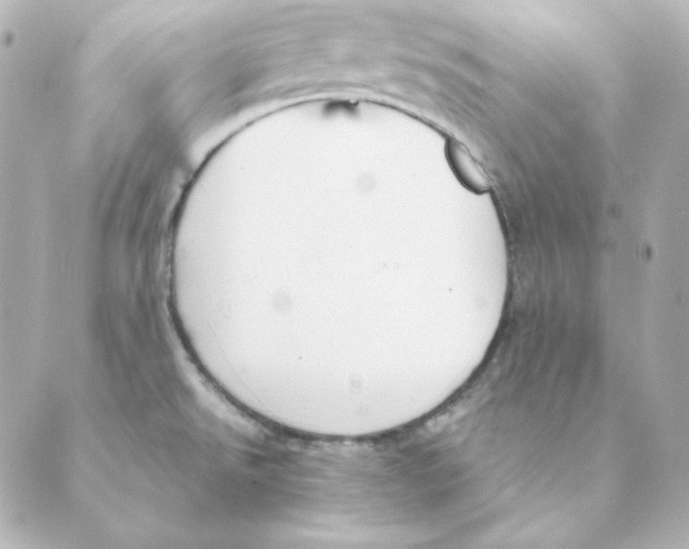 X0000088581526200706221303