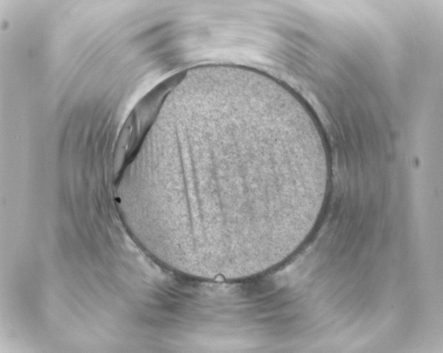 X0000088581529200706221303