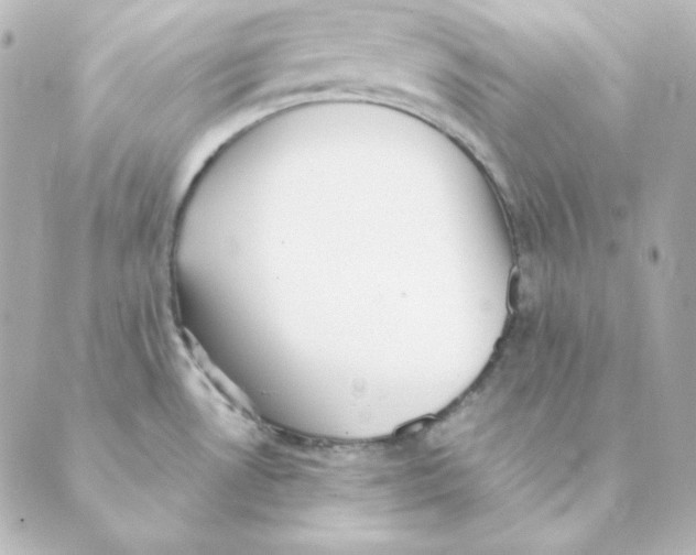 X0000088581530200706221303