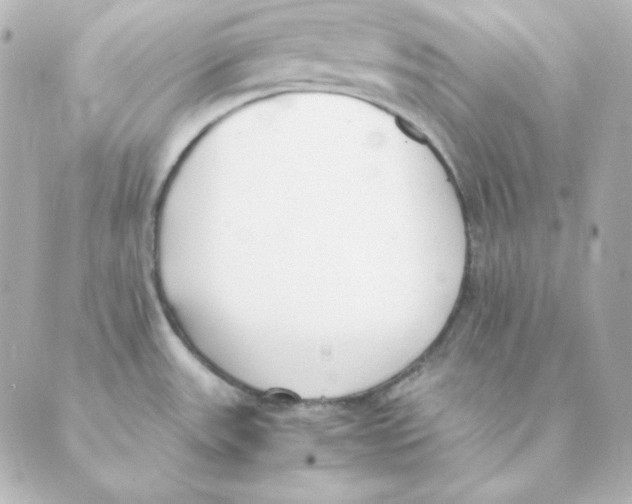 X0000088581531200706221303