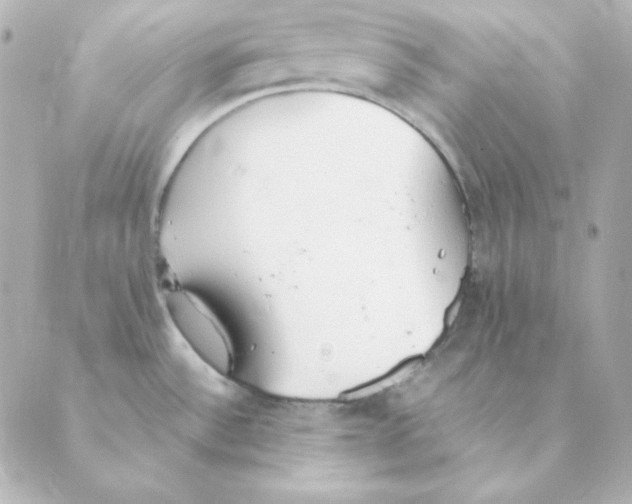 X0000088581532200706221303