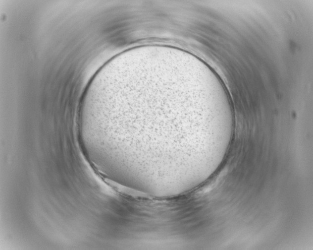 X0000088581533200706221303