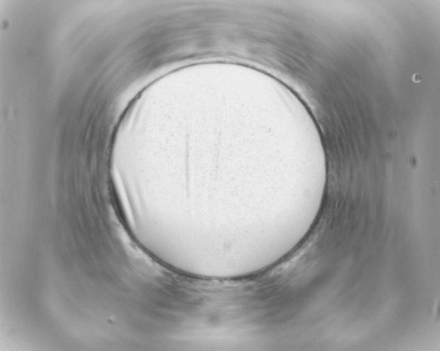 X0000088581534200706221304