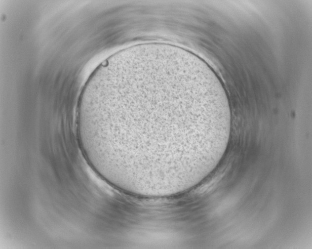 X0000088581535200706221304