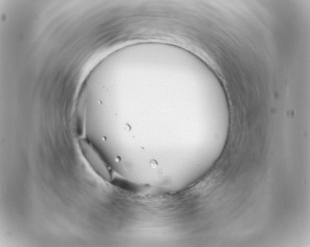 X0000088581536200706221304