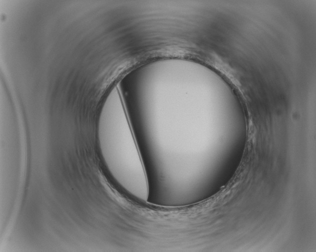 X0000088590013200705250815
