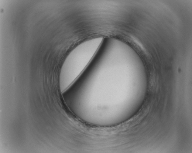 X0000088590025200705250814
