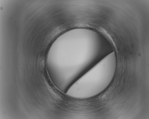 X0000088590063200705250814