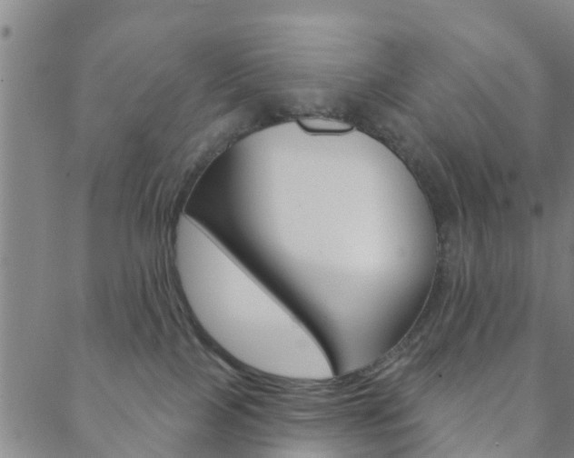 X0000088590089200705250814
