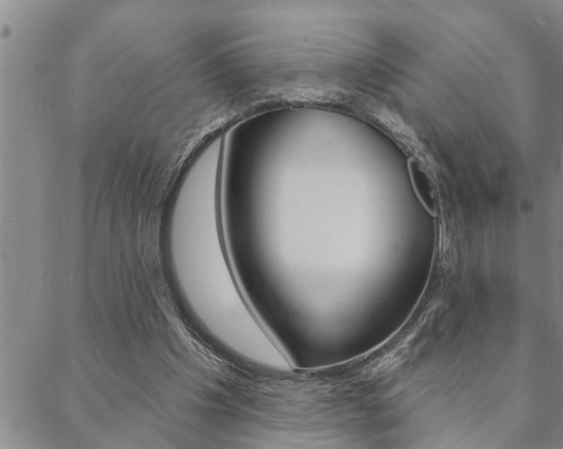 X0000088590201200705250812