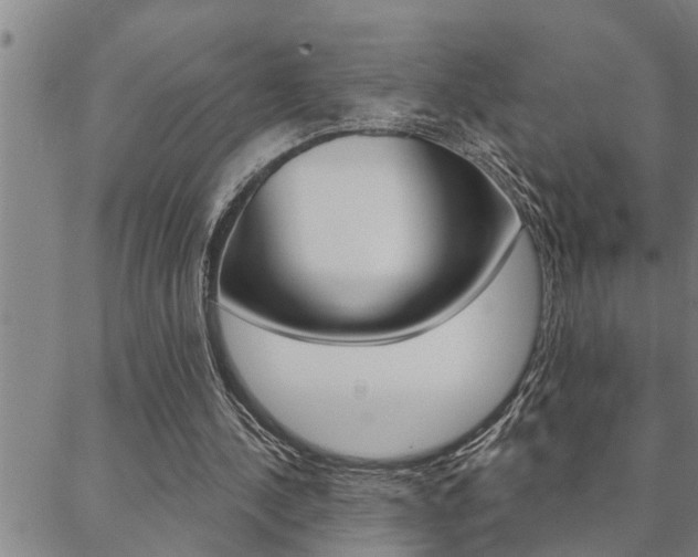 X0000088590244200705250810