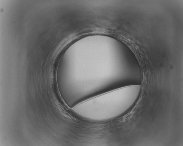X0000088590247200705250810