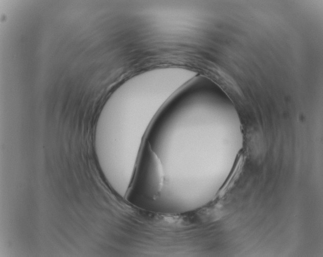 X0000088590329200705250809