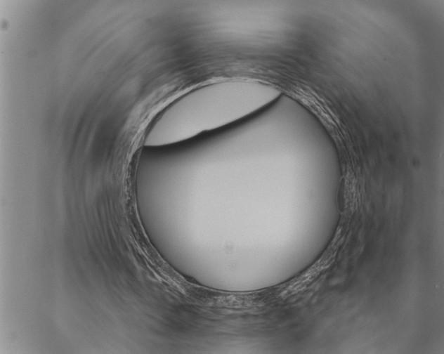 X0000088590338200705250809