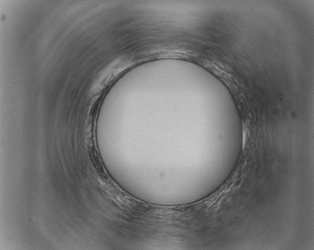 X0000088590339200705250809