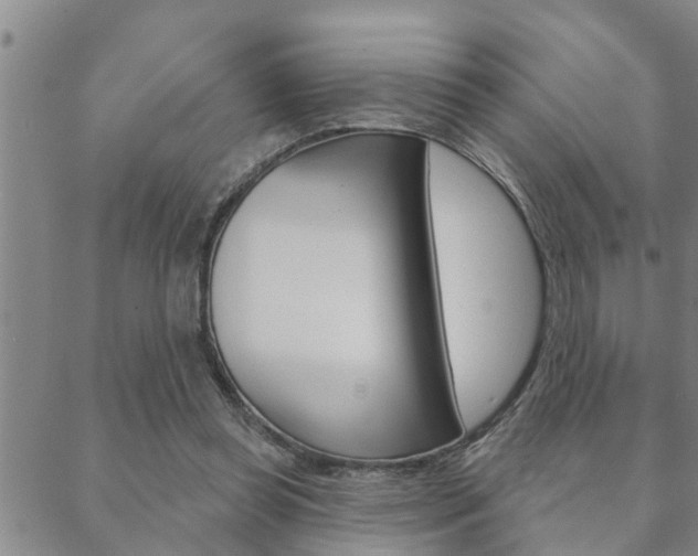 X0000088590349200705250809