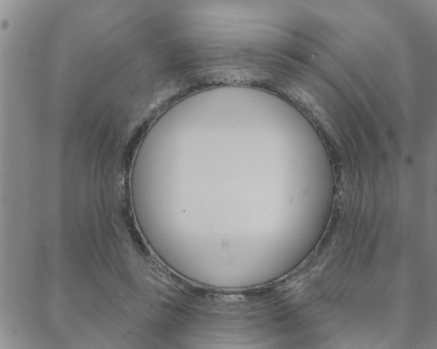 X0000088590355200705250809