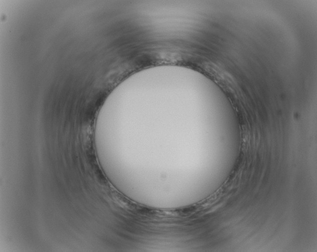 X0000088590369200705250809