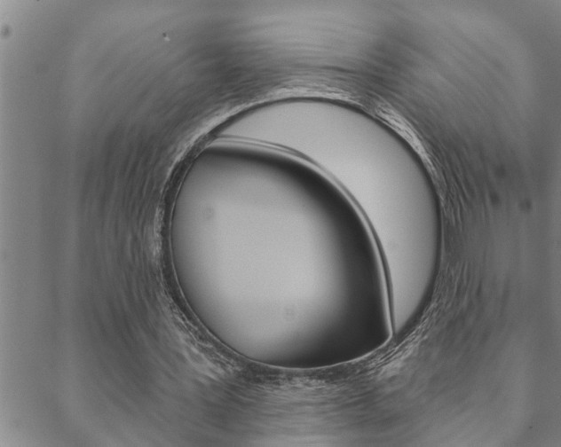 X0000088590387200705250809