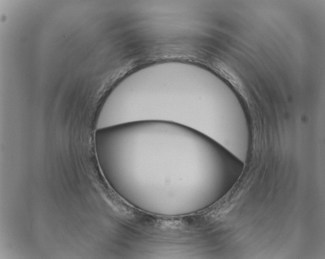 X0000088590401200705250808