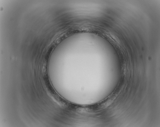 X0000088590408200705250808