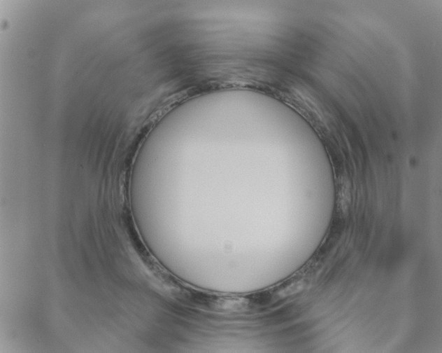 X0000088590410200705250808