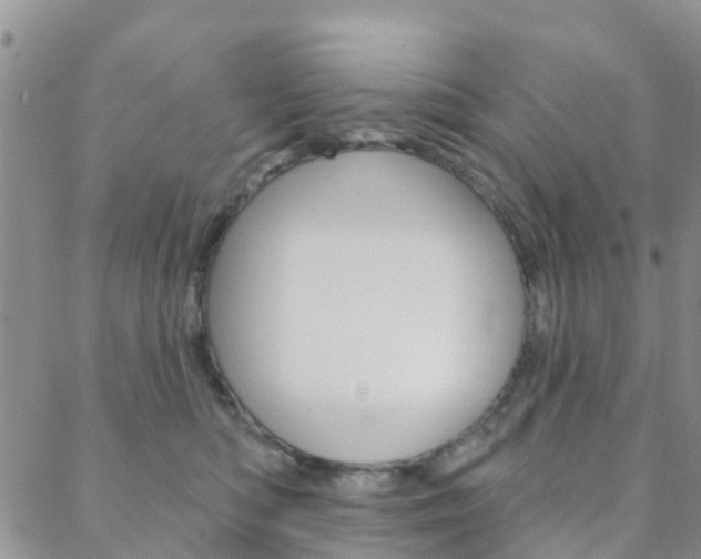 X0000088590422200705250808