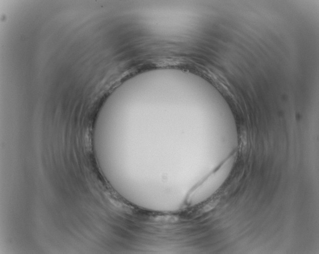 X0000088590426200705250808