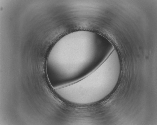 X0000088590450200705250807