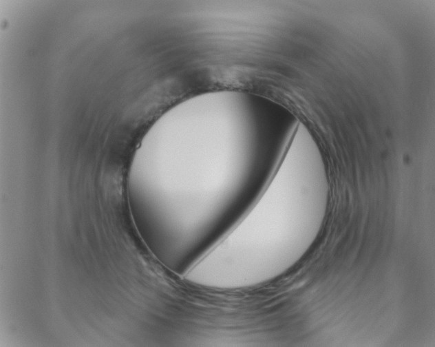 X0000088590466200705250808