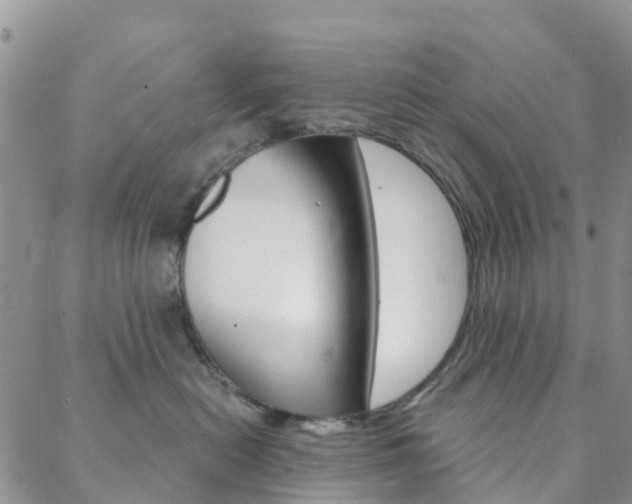 X0000088590478200705250808