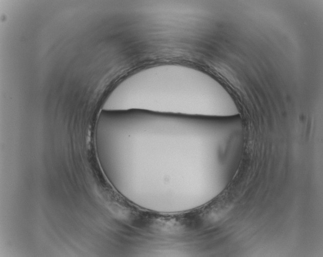 X0000088590502200705250807