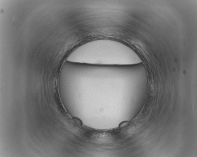 X0000088590503200705250807