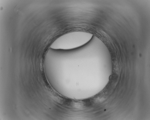 X0000088590510200705250807