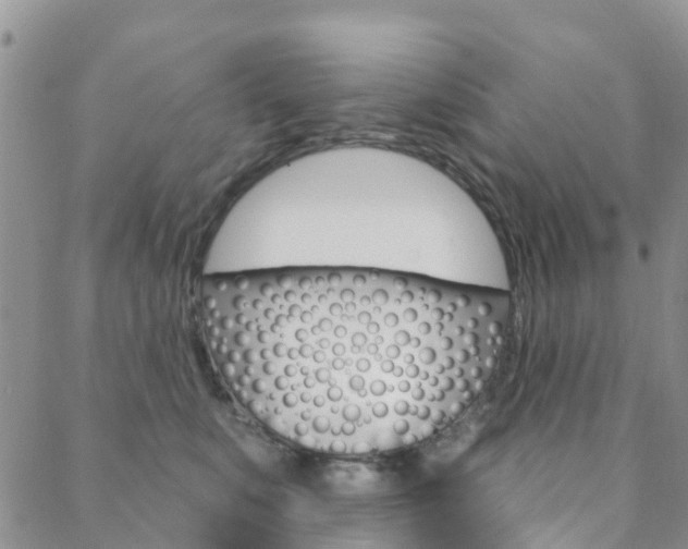 X0000088590519200705250806