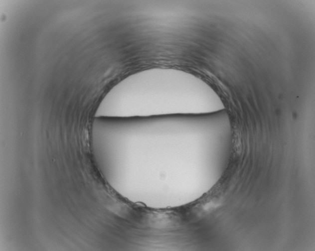 X0000088590523200705250806