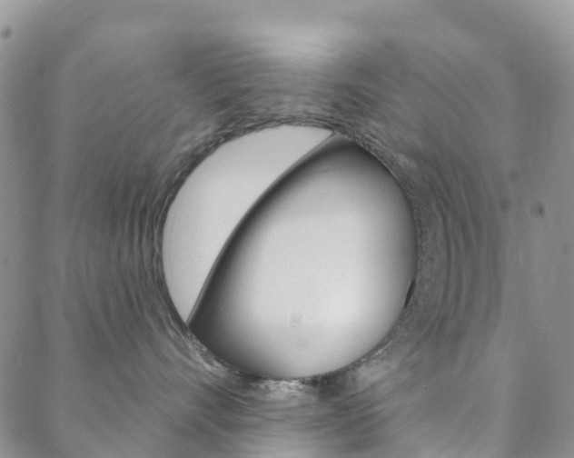 X0000088590528200705250806