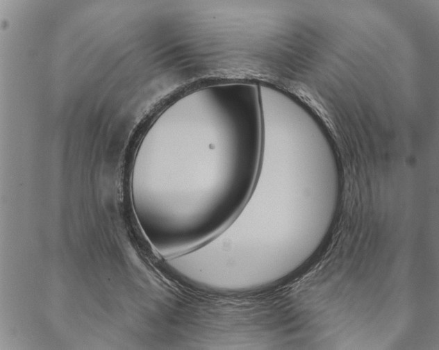 X0000088590536200705250806