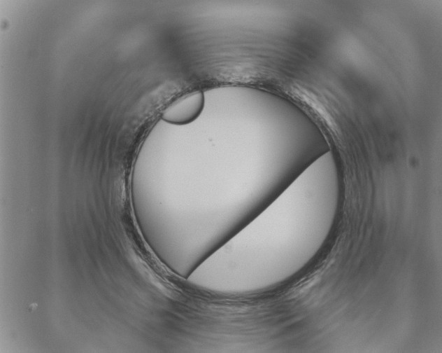 X0000088590541200705250806