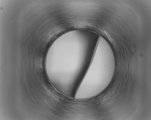 X0000088590543200705250806