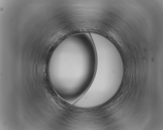 X0000088590548200705250806