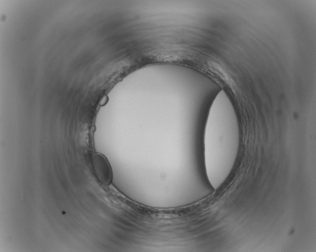 X0000088590549200705250806